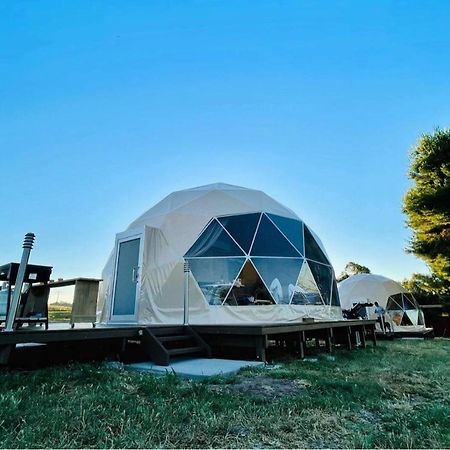Hillview Farmstay Gundagai Extérieur photo