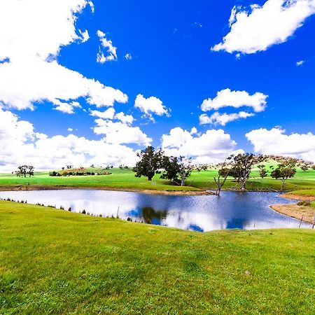 Hillview Farmstay Gundagai Extérieur photo