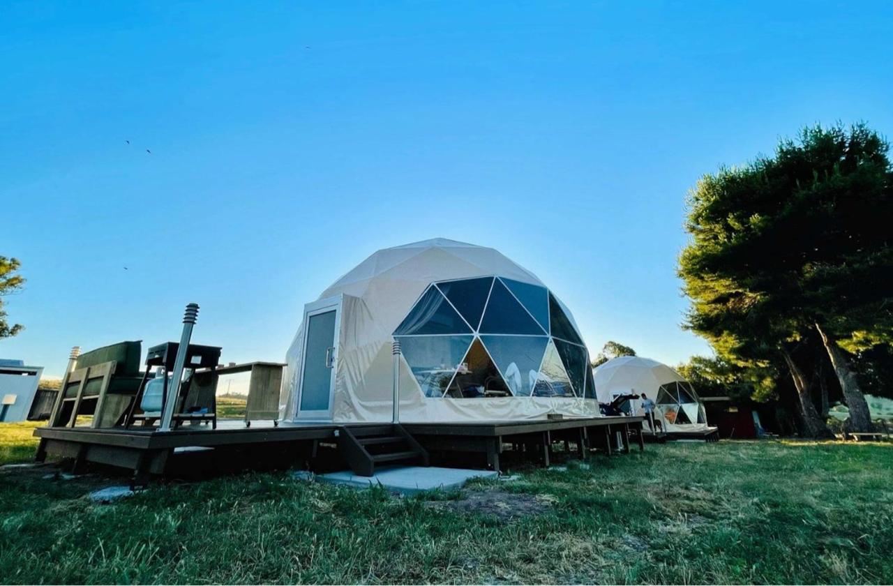 Hillview Farmstay Gundagai Extérieur photo