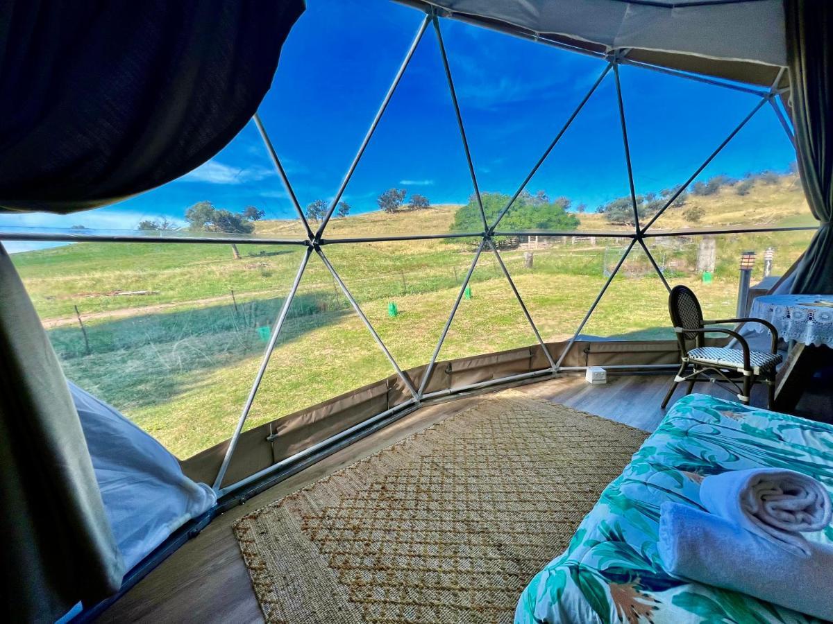 Hillview Farmstay Gundagai Extérieur photo