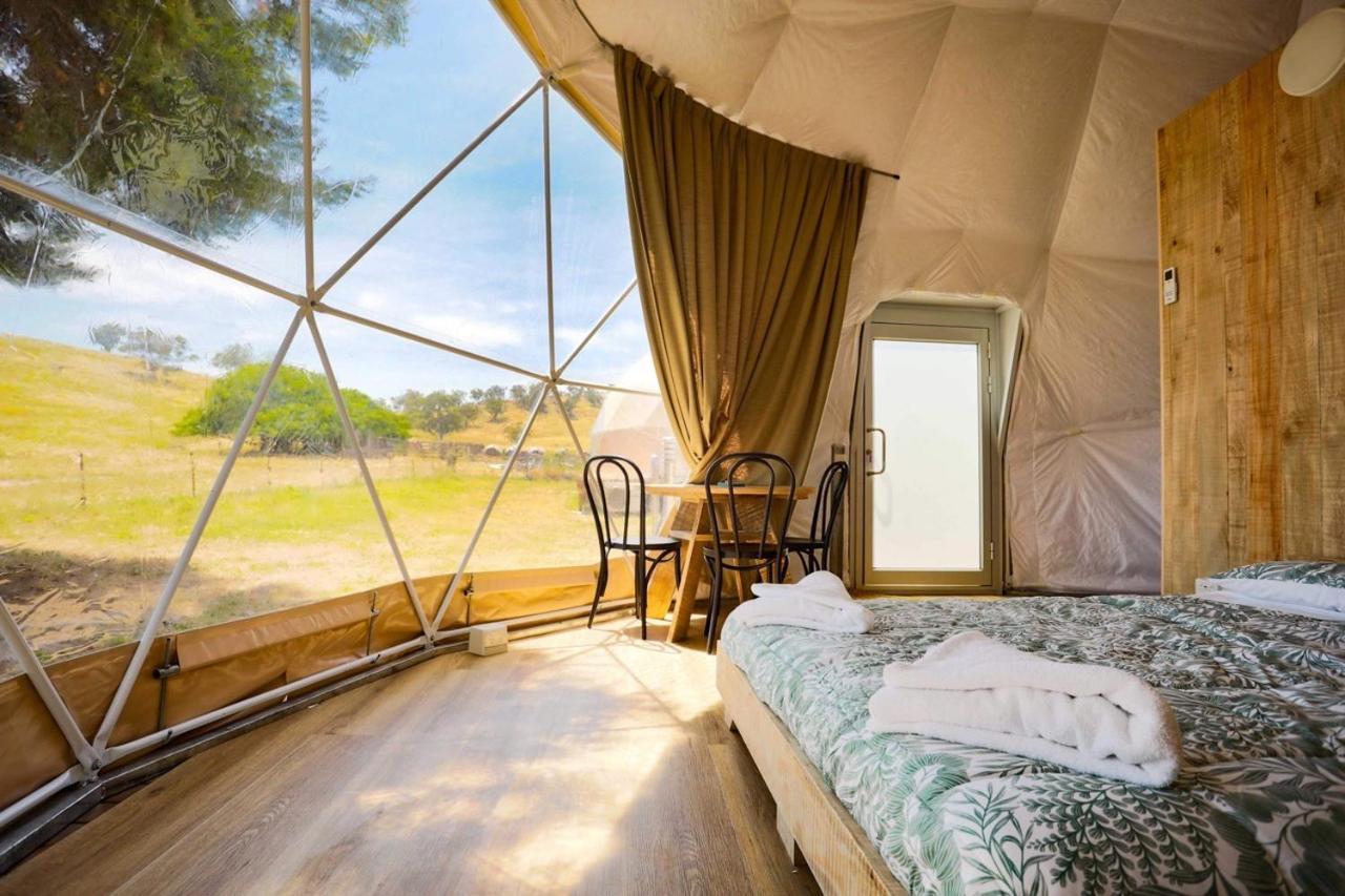 Hillview Farmstay Gundagai Extérieur photo