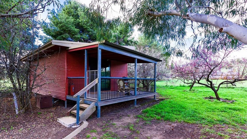 Hillview Farmstay Gundagai Extérieur photo
