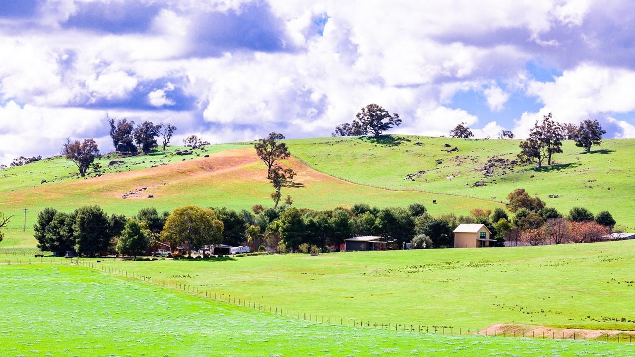 Hillview Farmstay Gundagai Extérieur photo