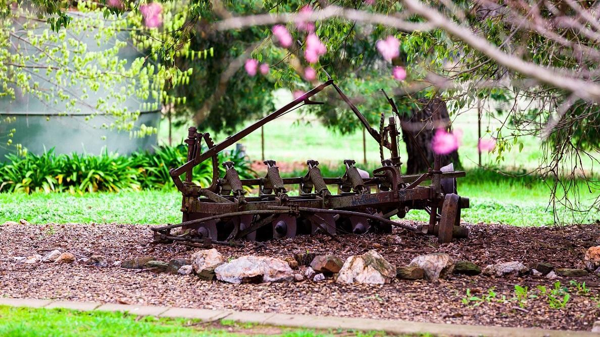 Hillview Farmstay Gundagai Extérieur photo