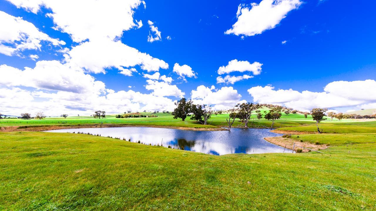 Hillview Farmstay Gundagai Extérieur photo