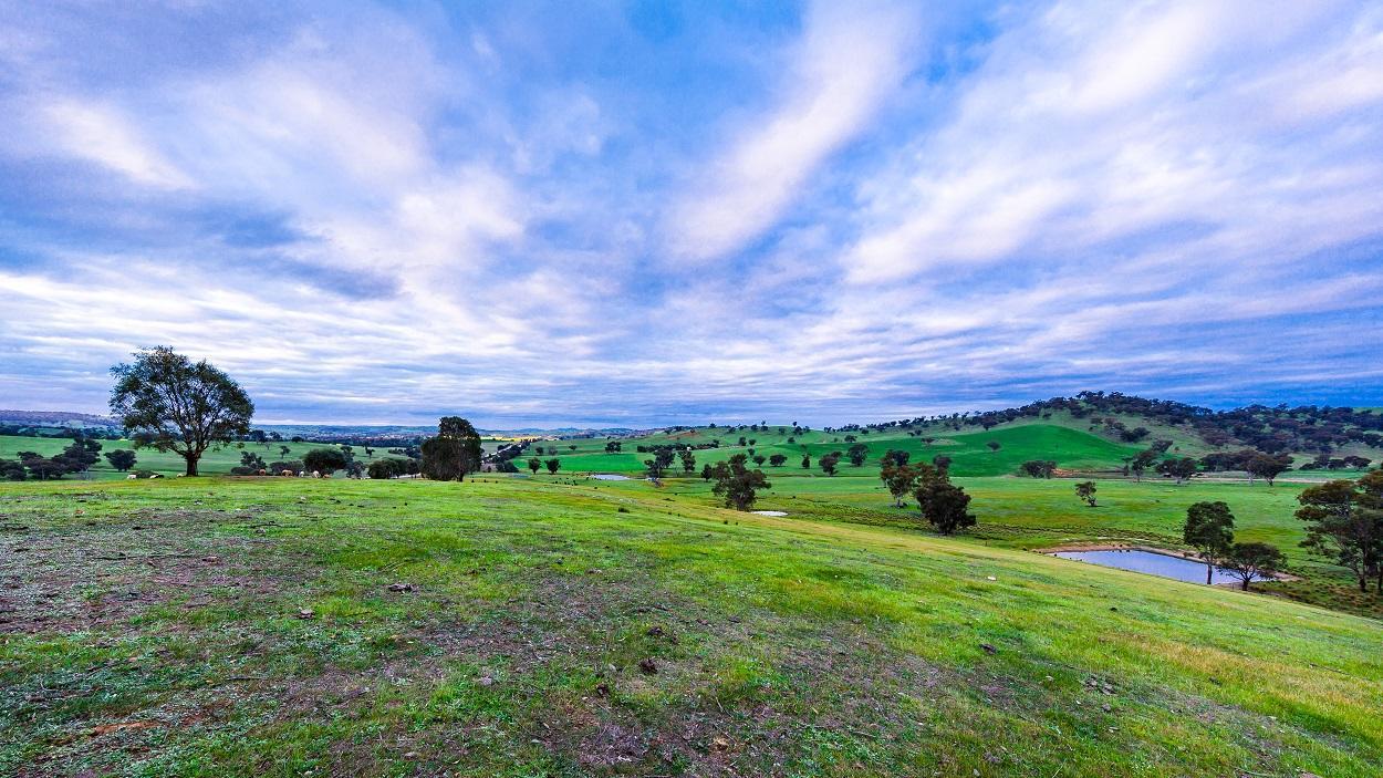 Hillview Farmstay Gundagai Extérieur photo