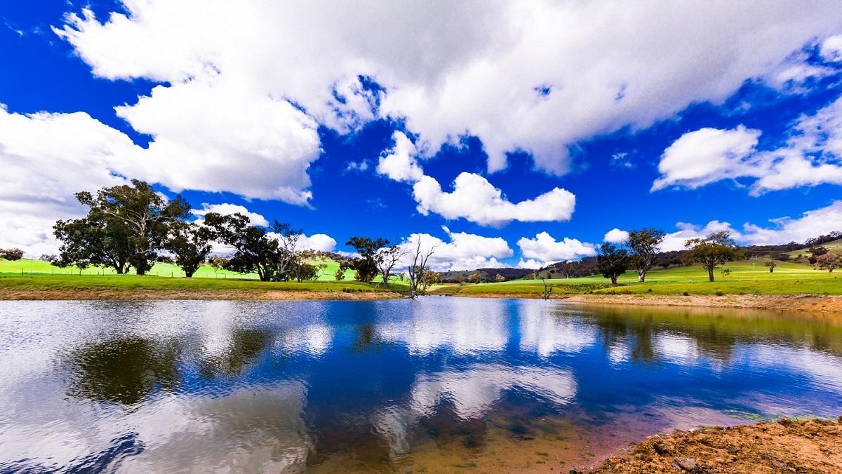 Hillview Farmstay Gundagai Extérieur photo