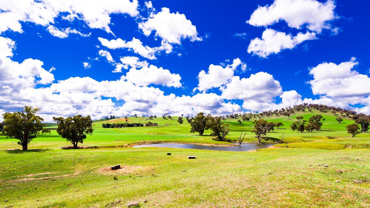 Hillview Farmstay Gundagai Extérieur photo