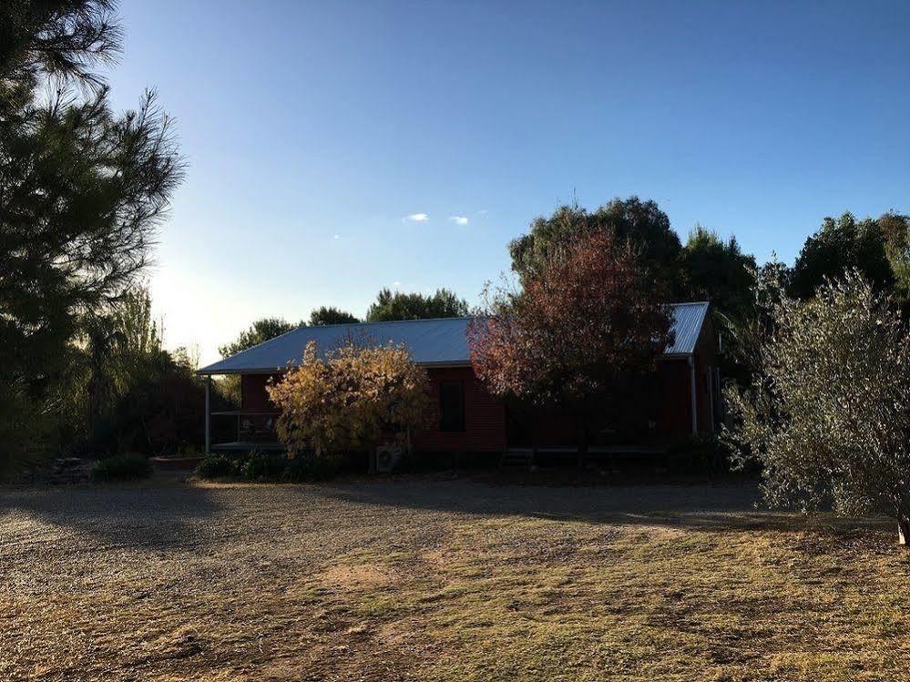Hillview Farmstay Gundagai Extérieur photo
