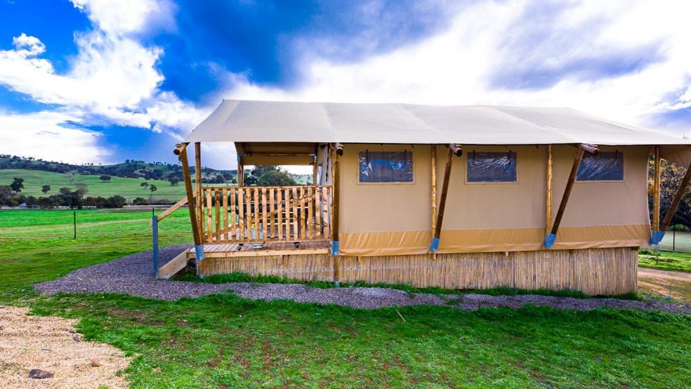 Hillview Farmstay Gundagai Extérieur photo