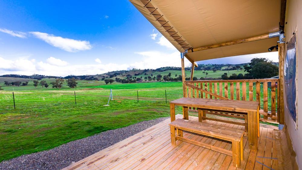 Hillview Farmstay Gundagai Extérieur photo